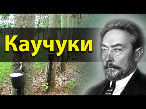 Видео: Каучуки: бутадиеновый, изопреновый, хлоропреновый. ЕГЭ по химии
