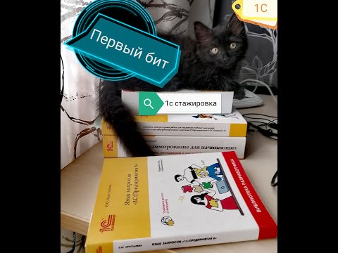 Видео: 1C Программирование. 1С Стажировка. Первый Бит, как оно???? Начало карьеры или уже конец??