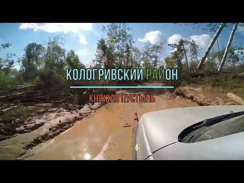 Видео: Княжая Пустынь, Кологривский район, Костромская область.