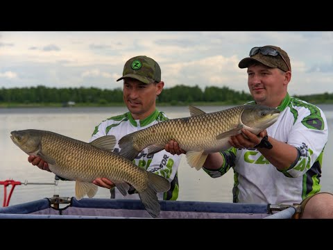 Видео: Соревнования по Flat Feeder (UFFL) Советы чемпионов, как выиграть!