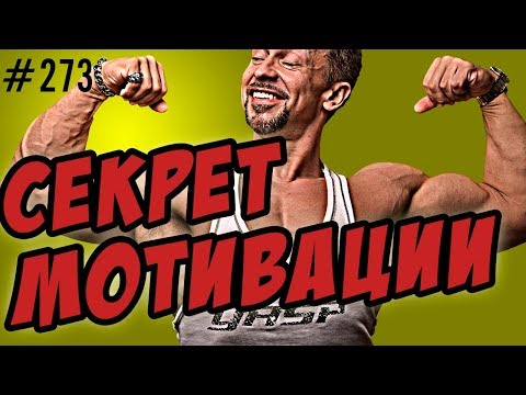 Видео: мотивация .главный секрет мотивации