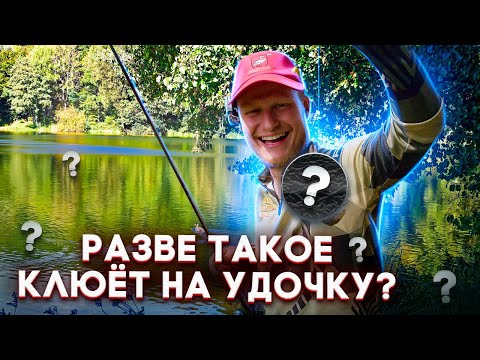Видео: РАЗВЕ ТАКОЕ КЛЮЁТ НА УДОЧКУ?