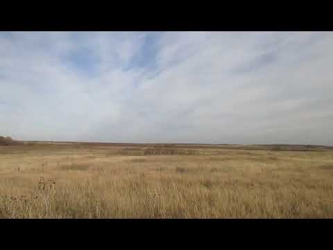 Видео: Опустевший посёлок Выделенческий, Самойловский район.