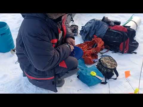 Видео: Зимняя рыбалка на реке Лозьва