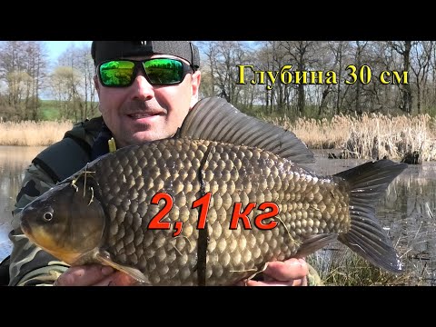 Видео: 🔥🔥🔥  Вот это ЛАПТИ !!! 👍 Огромные КАРАСИ из жабовника 🐸