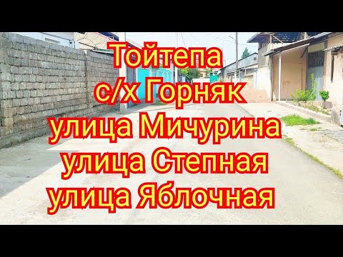 Видео: Тойтепа Нурафшон  с/х Горняк улица Мичурина улица Степная улица Яблочная