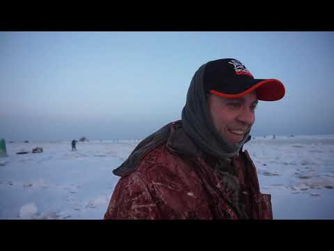 Видео: Ловля судака зимой
