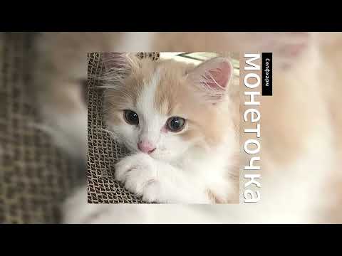 Видео: монеточка - селфхарм // speed up