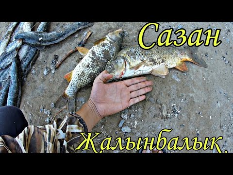 Видео: САЗАН, ЖЫЛАНБАЛЫҚ. Қуырдақ, шашлык. Керемет демалыс болды. ( ПЕРЕЗАЛИВ ) АРХИВ