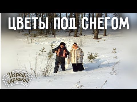 Видео: Цветы под снегом | Анастасия Заволокина, Алексей Ходаковский | Играй, гармонь!