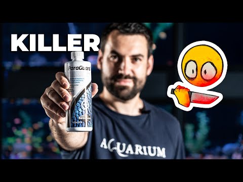 Видео: УБИЕЦЪТ НА ВСИЧКИ ПАРАЗИТИ И ГЪБИЧКИ