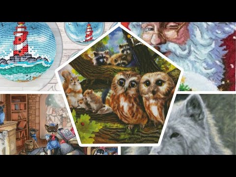 Видео: Финиш! Продвижения. Прогулка по Кракову