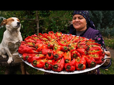 Видео: Фаршированные болгарские перцы | Традиционный деревенский рецепт