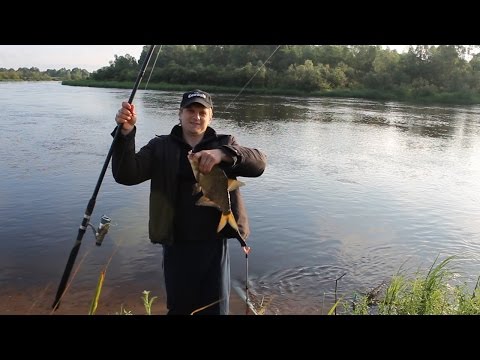 Видео: Ловля леща на фидер. Река Березина (Беларусь). 2014