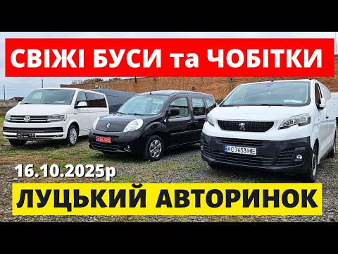 Видео: СВІЖІ ЦІНИ НА БУСИ ТА ЧОБІТКИ // ЛУЦЬКИЙ АВТОРИНОК / 16.10.25р. #автопідбір #буси #ренокенго #трафік