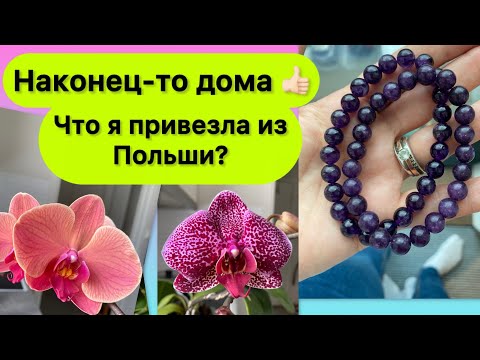 Видео: Аметисты, круассаны и орхидеи 😉-мы наконец-то дома!