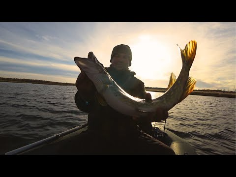 Видео: ЩУКА ВКРАЛА ВОБЛЕР! ЛОВЛЯ ЩУКИ НА ТВІЧИНГ! РИБАЛКА З БАТЬКОМ!
