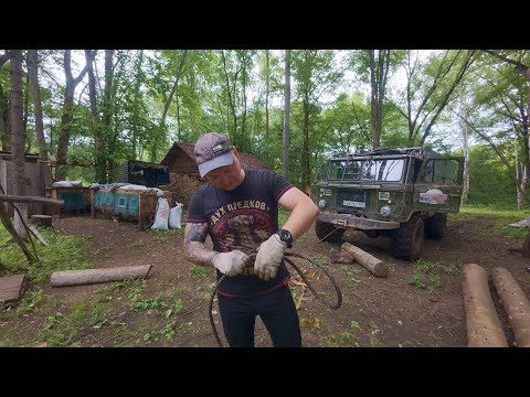 Видео: ПЕРВЫЙ МЕД, МНОГО РАБОТЫ, ЖАРА.