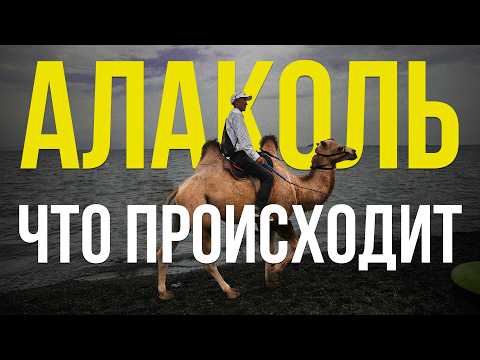 Видео: Без воды, дорог и электричества: уникальный Алаколь стал головной болью?