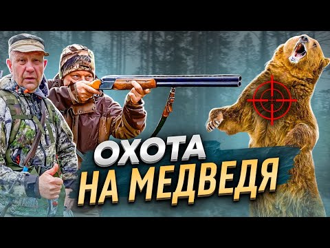 Видео: Охота на Медведя с Лайками в Тайге Кольского полуострова.