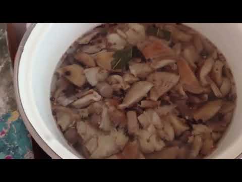 Видео: Маринуем грибы. Маринад для     всех грибов.