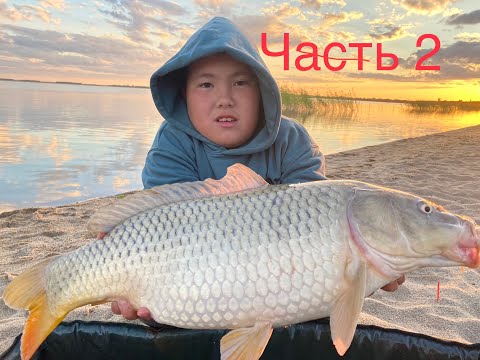 Видео: /Ночной бешенный клёв/Отпустили трофейного карпа/Жор трофейного Карпа/Часть 2/