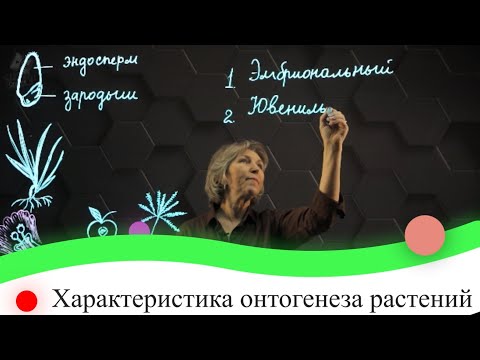 Видео: Характеристика онтогенеза растений. 7 класс.