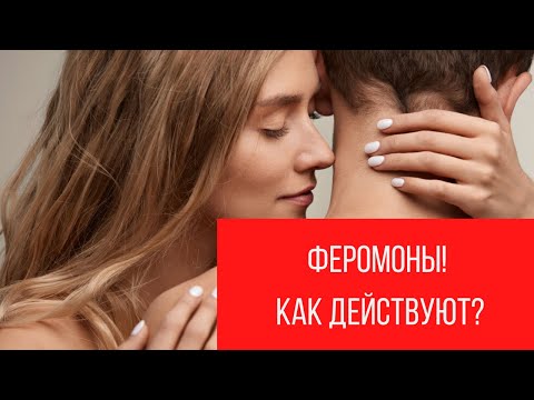 Видео: Феромоны. Афродизиаки. Как действуют || Юрий Прокопенко