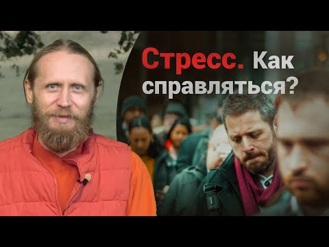 Видео: Стресс. Как справляться? Эмоции, фокус и образ жизни