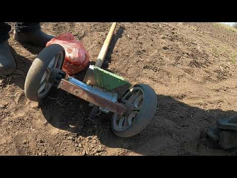 Видео: Высев свеклы столовой. Ручная сеялка без размеров.We sow red beets. Hand seeder .