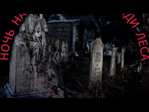 Видео: Ночь на кладбище посреди леса