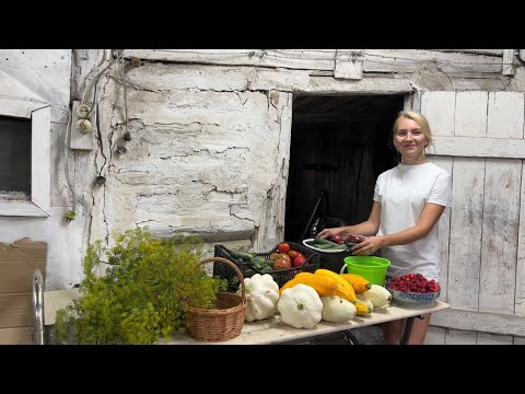 Видео: ВЫХОДНЫЕ В ДЕРЕВНЕ/ ВАРИМ КАБАЧКОВУЮ ИКРУ/СОБИРАЕМ СВЕЖИЕ ОВОЩИ/ВЫСАЖИВАЕМ НОВЫЕ КУСТАРНИКИ ДЛЯ САДА