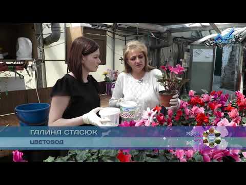 Видео: Сельский кластер - Цветочная ферма Галины Стасюк (02.05.2018)