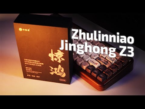 Видео: Великолепие звука или зачем ТЕБЕ IEM наушники? | Zhulinniao Jinghong Z3
