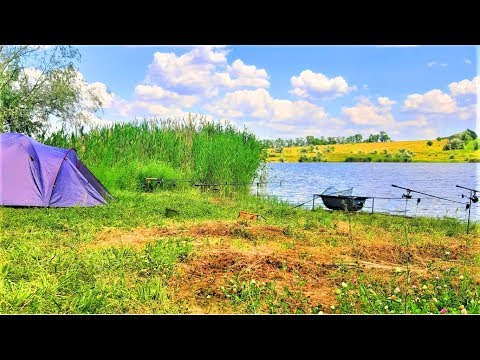Видео: ДУШЕВНАЯ РЫБАЛКА на КАРПА с НОЧЁВКОЙ