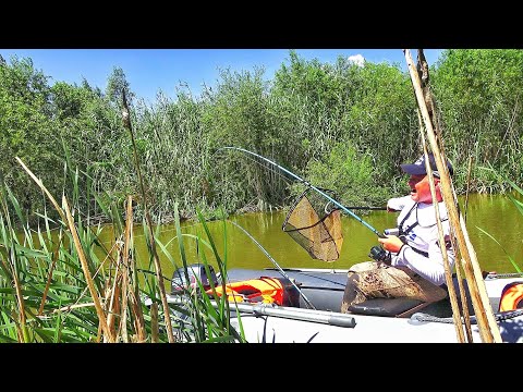 Видео: "ОНО" ПОТАЩИЛО МЕНЯ С ЛОДКОЙ!!! ЗАБРОСИЛ В КОРЯГИ И...! Рыбалка в "трудных" местах.