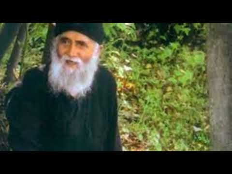 Видео: Старецът Паисий Светогорец 9.Божията премъдрост и околната среда