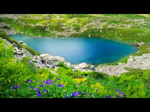 Видео: Добрая, нежная, невероятно вдохновляющая музыка Сергея Чекалина! Красиво для души! Мелодия неземная!