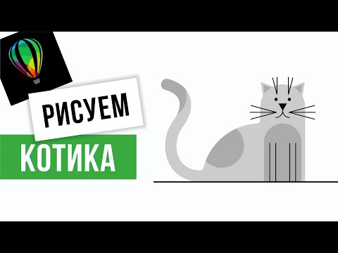 Видео: Как легко нарисовать кота. Вектор. Corel DRAW.