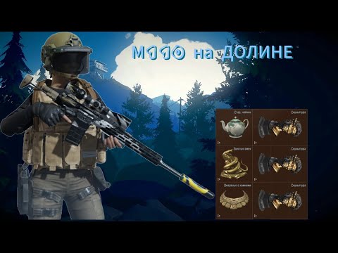 Видео: М110 пушка для крыс ? | ARENA BREAKOUT