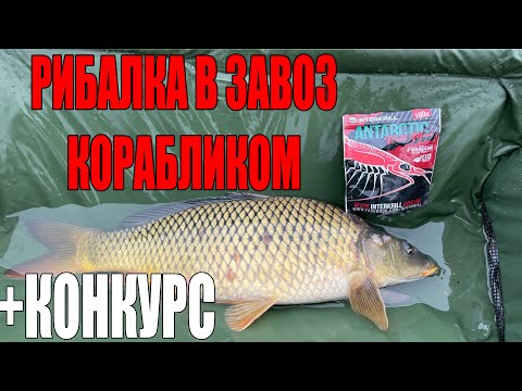 Видео: РИБАЛКА З КОРАБЛИКОМ .Ловля КОРОПА ВЕСНОЮ