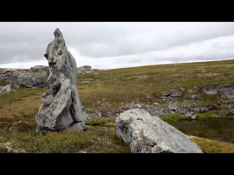 Видео: Северный Тиман