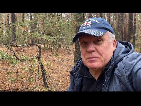 Видео: Грибы 🍄‍🟫 на каждом шагу,уже не надеялся столько найти! Мечта грибника! Кайф,давно я так не собирал!