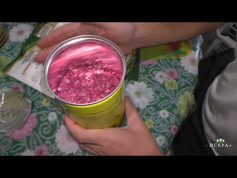 Видео: Получили профессиональные семена арбуза. Продюсер seeds.