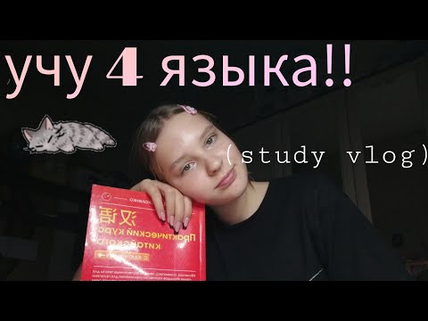 Видео: УЧУ 4 ЯЗЫКА ЗА ВЕЧЕР! STUDY VLOG! МОТИВАЦИЯ!