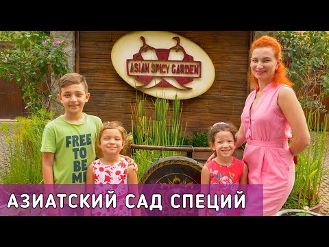 Видео: Единственный в Таиланде Азиатский сад Специй. Паттайя.