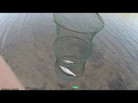 Видео: Волжский,Озеро Аленушка, Рыбалка