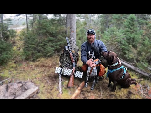 Видео: Ночевка в лагере для куропаток в сельской местности с двумя моими собаками