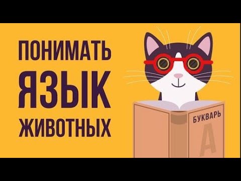 Видео: Что, если бы мы понимали ЯЗЫК ЖИВОТНЫХ