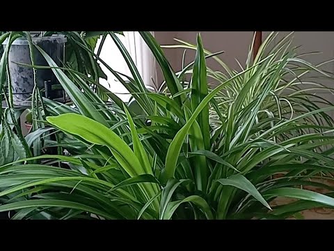 Видео: 26 октября 2025 г.